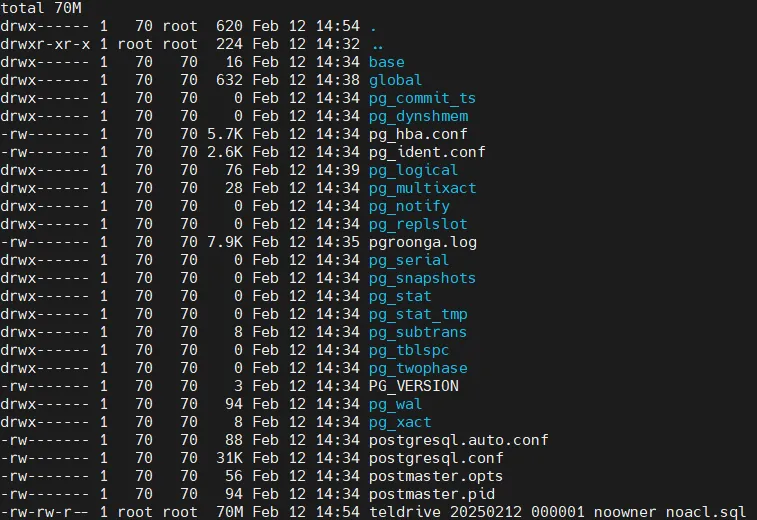 teldrive local restore postgres 7